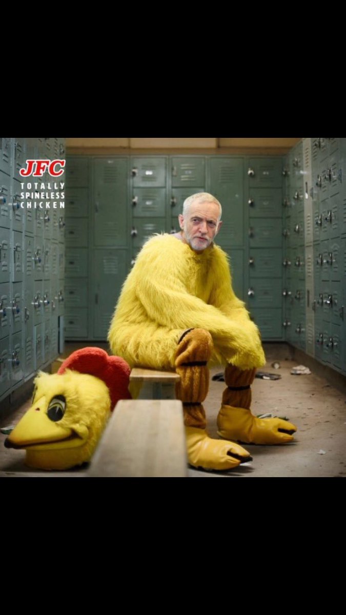 NeilDool1's tweet image. This is what a traitor looks like