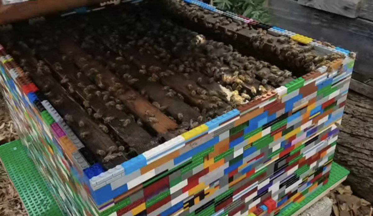 rockinRory's tweet photo. A genuine working beehive made from LEGO! https://t.co/dOtu6bbTd7 https://t.co/3u2CyJVtGd