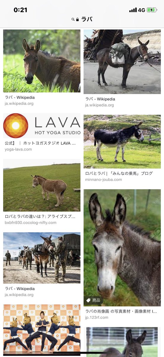 樫木3号 V Twitter 馬 樫木3号 V Twitter 馬