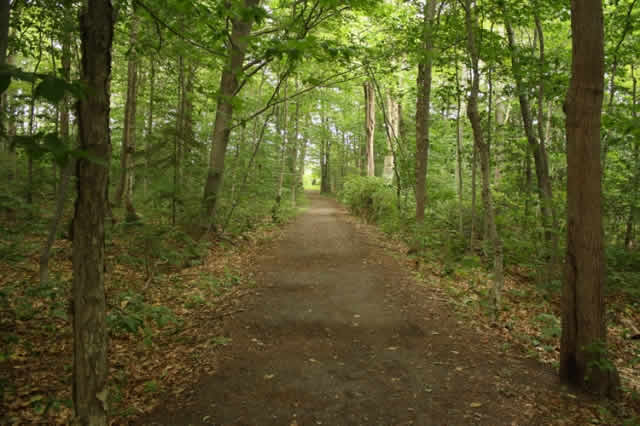 ehCanadaTravel's tweet photo. The 400 kilometre long trail connects to parks, historic sites, amazing views and PEI communities.
***
Visit : https://t.co/rGsGDdobHj
***
#pei
#princedwardisland
#imageofcanada
#bucketlistadventures
#experiencemore
#livetheexperience
#experiencecanada
#canadaparadise https://t.co/EpKh8A0KGV