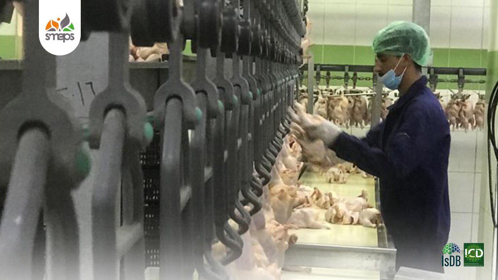 SMEPSYEMEN's tweet photo. Supporting the #PrivateSector in the current situations is not easy, but it’s a MUST! It plays an important role in alleviating the war by providing thousands of #job opportunities. The marginalization of the private sector have led to a scary #increase of unemployment.
#BRAVE2 https://t.co/9x8wPFlyQE