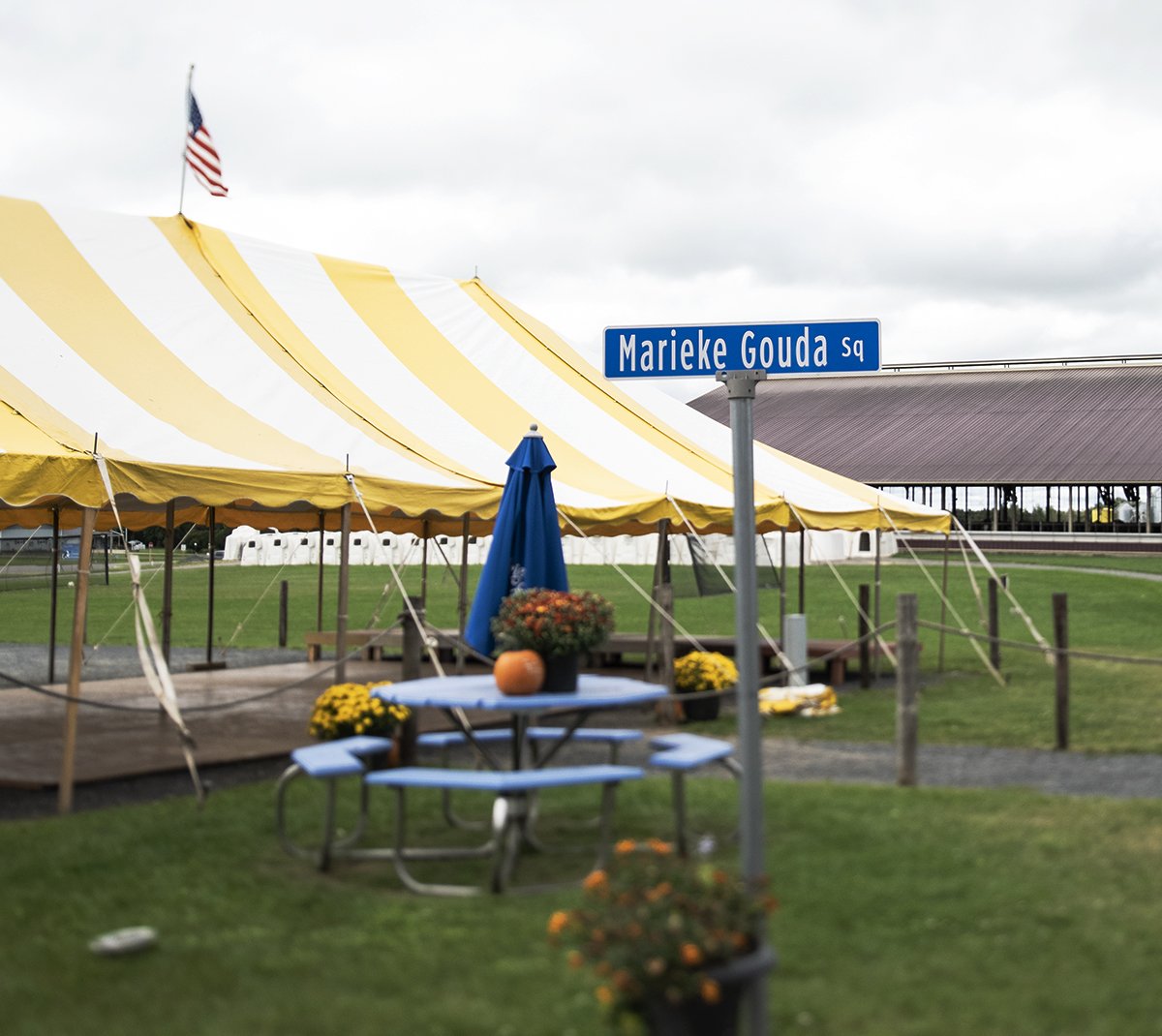 MariekeGouda's tweet photo. We are SO EXCITED for HARVEST FESTIVAL TODAY! It starts NOW and goes until 5pm! ๐๐ Don't miss out on all the fall fun! FREE ADMISSION! Will we see you today?? Retweet to help get the word out!
#fallfun #wisconsinfun #fallactivites
https://t.co/q4AozzYqq6 https://t.co/pfVPfIN65C