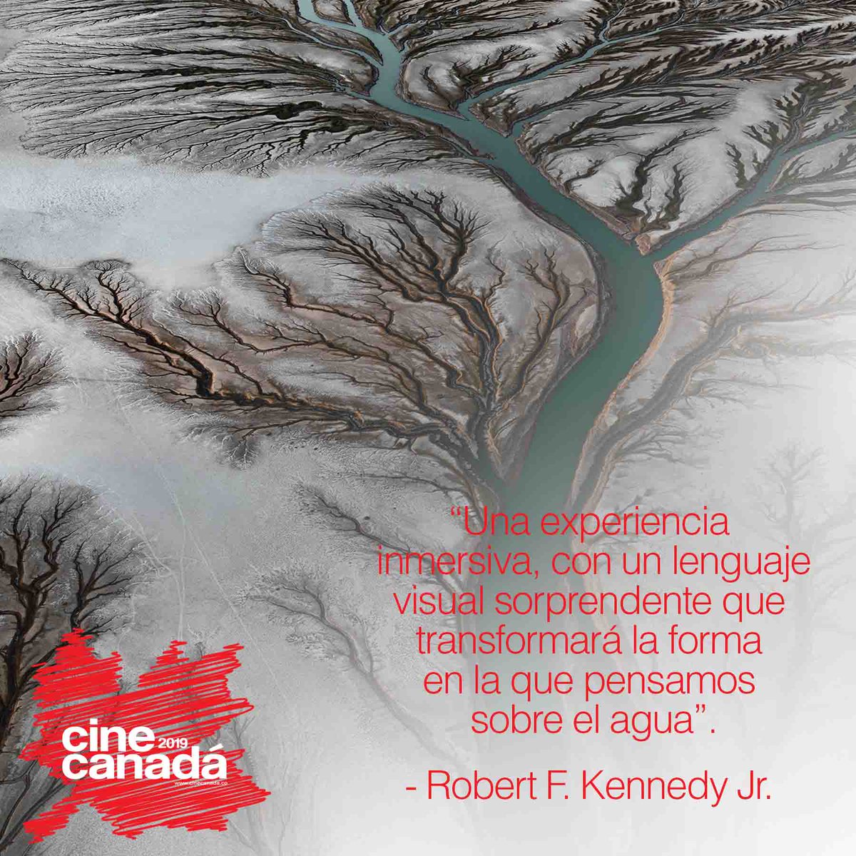 cinecanada's tweet photo. Recordamos la película #Watermark, que hizo parte de la Muestra #CineCanadá2019. Por eso les dejamos una frase de Robert F. Kennedy, activista medioambiental estadounidense.

¿Alcanzaron a verla?¿Les gustó? https://t.co/SApy0aiOMc