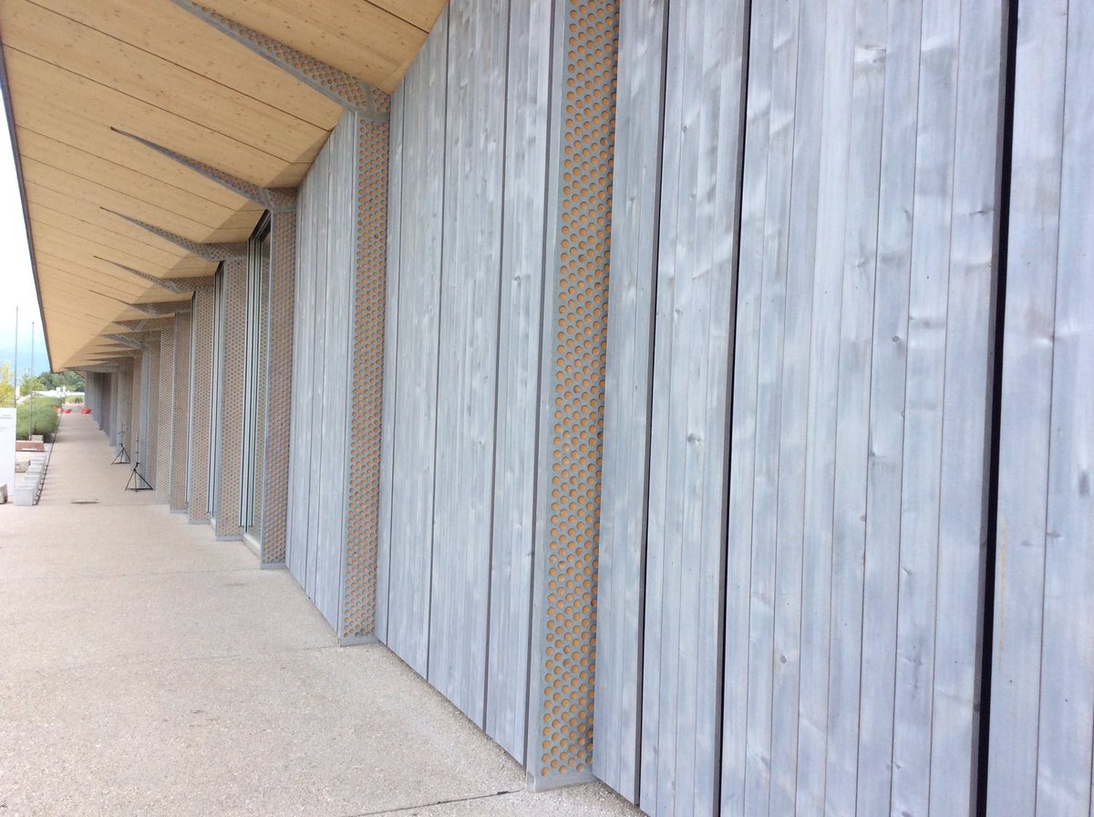 GonzalezLab_BCN's tweet image. #EDRC2019 #epflcampus