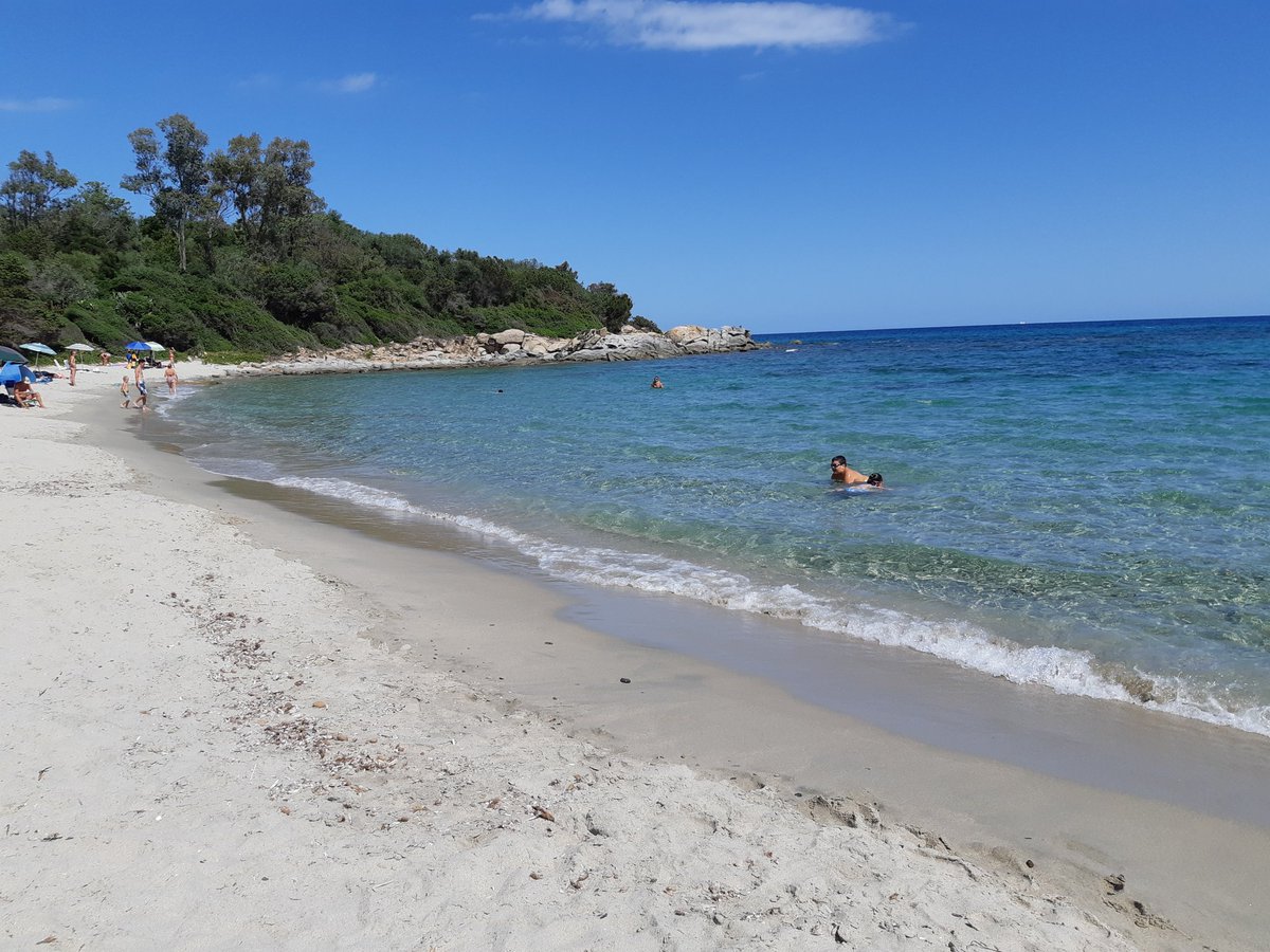 SIMONAFANNI's tweet photo. Wake me up when september ends♥️😍#tortoli #foxilioni #sardegna e ora al mare andiamo noi🤣🤣🤣 https://t.co/b7EQGsZLGD