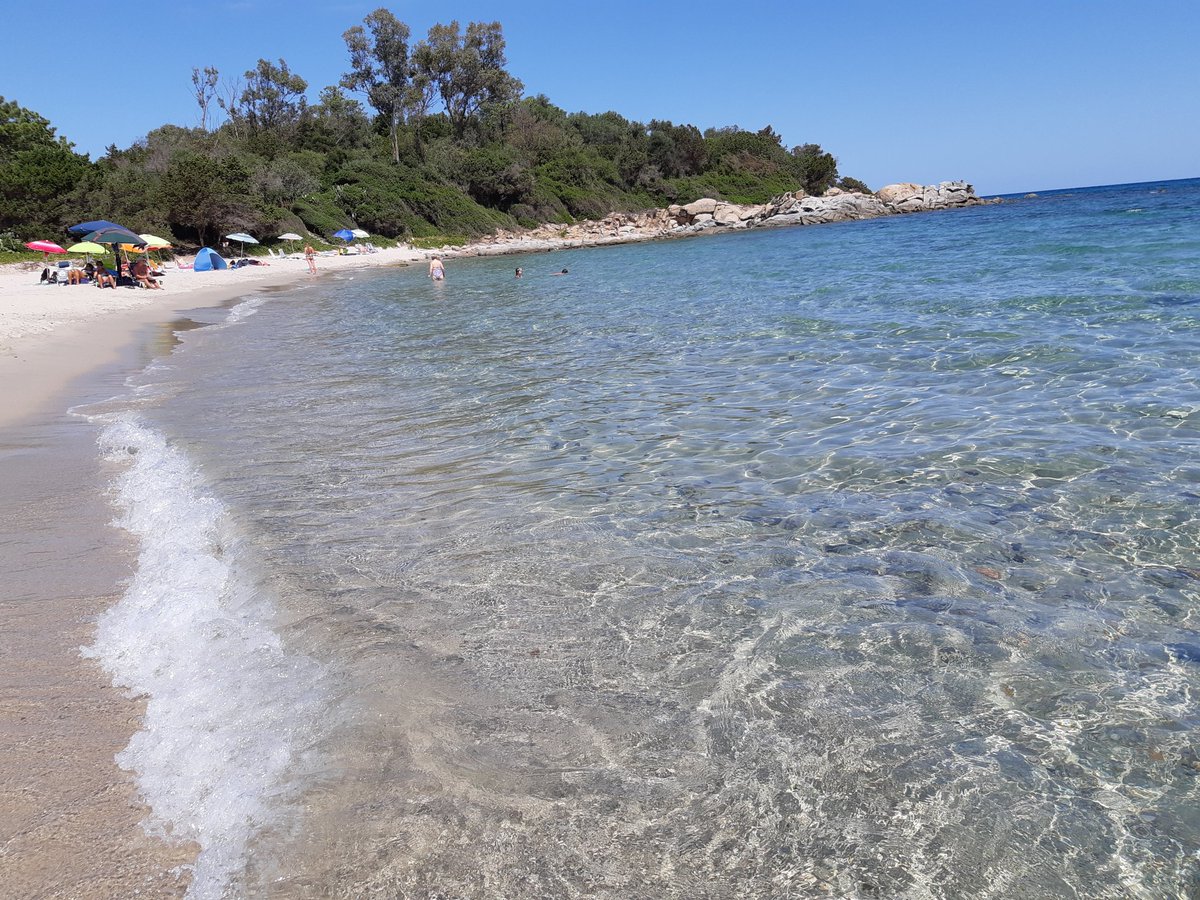 SIMONAFANNI's tweet photo. Wake me up when september ends♥️😍#tortoli #foxilioni #sardegna e ora al mare andiamo noi🤣🤣🤣 https://t.co/b7EQGsZLGD