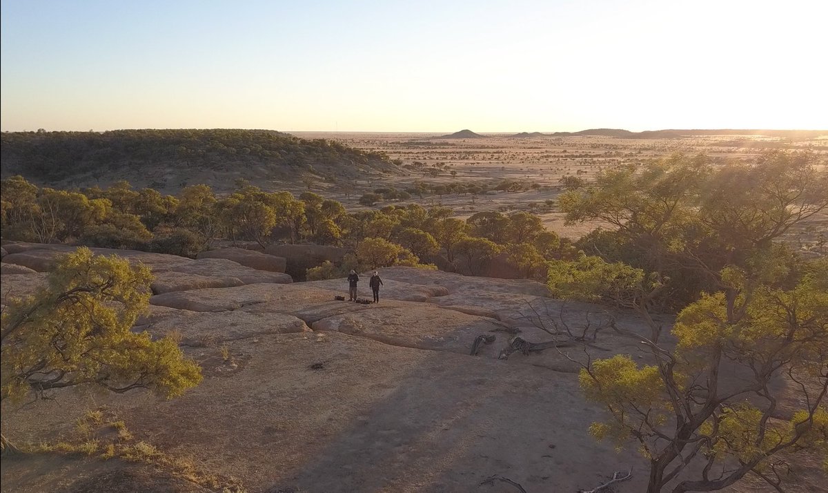 Andy Joule tweet media