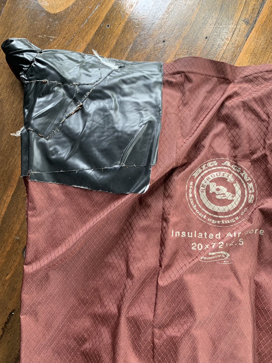 nobleideas.bsky.social tweet media