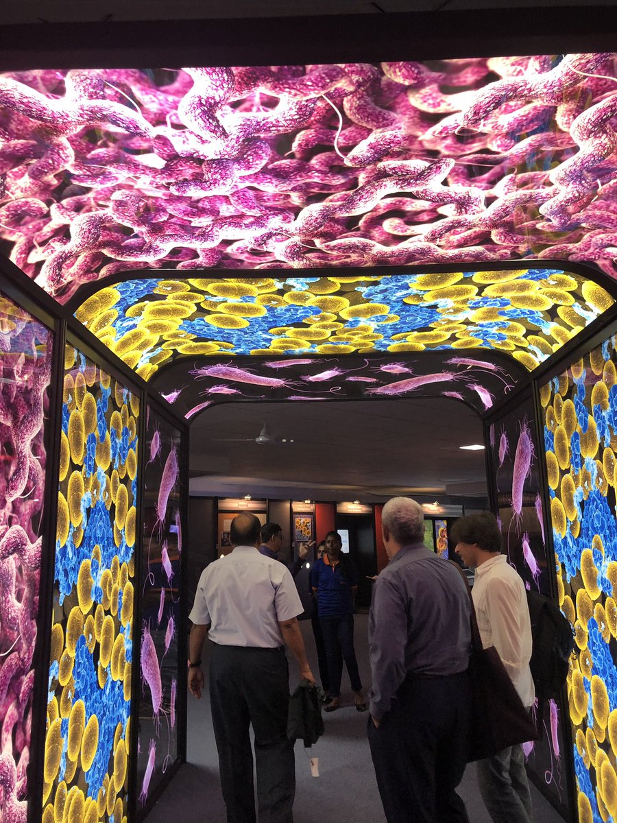 Superheroes against Superbugs tweet media