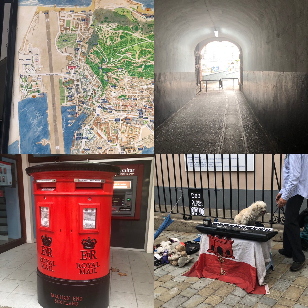 Mick_Box's tweet photo. A walk around Gibraltar and some of the sights! 
 #carparelliguitars
#graphtech
#englamplifiers
#rotosoundstrings
#furchacousticguitars
#haupstadtrocker
#rightonguitarstraps
#well02
#uriahheep
#classicrock
#metal https://t.co/7W8OtNBAQo
