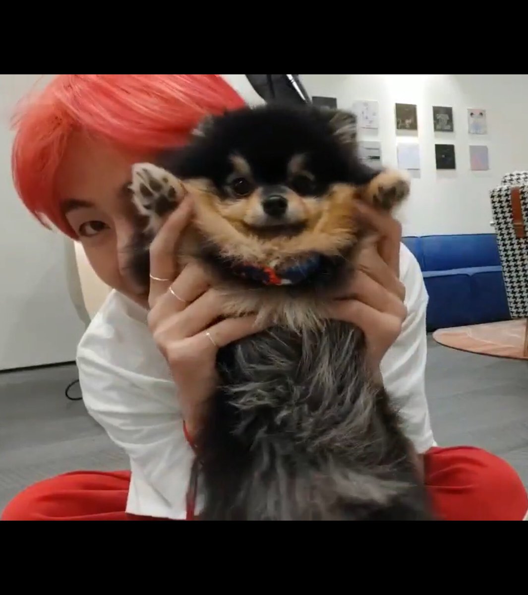 ﾖﾝﾀﾝ Twitter Search