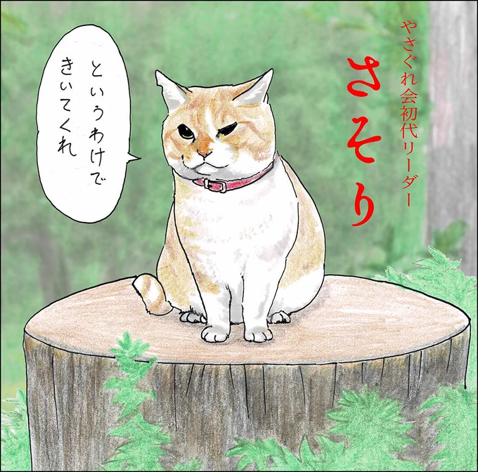 や、どうも。
よるはちょっとすずしくて、すごしやすくなりましたね。
お待たせしましたよ。前回のつづきだよ。 