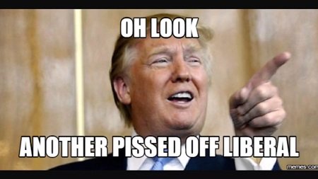 nodingleberries's tweet photo. #TrumpFearsYang #WutEva https://t.co/KXTuu8Ea2K