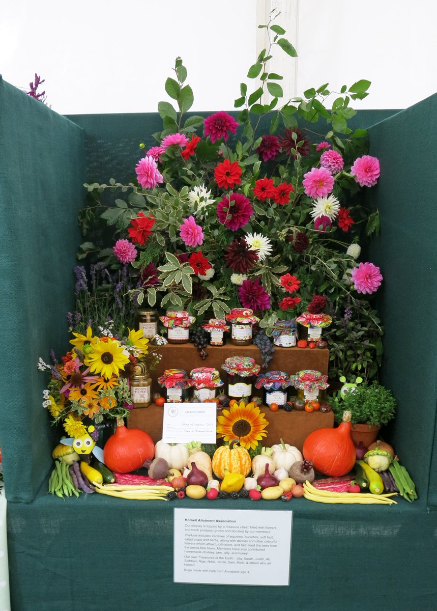 VanessaAPenn's tweet photo. We had the most amazing entries in our first Affiliated Societies Growing Together competition @RHSWisley hosted in the National Dahlia Society marquee.  Come and see them if you're at the flower show this weekend! https://t.co/MjonKUCLAB