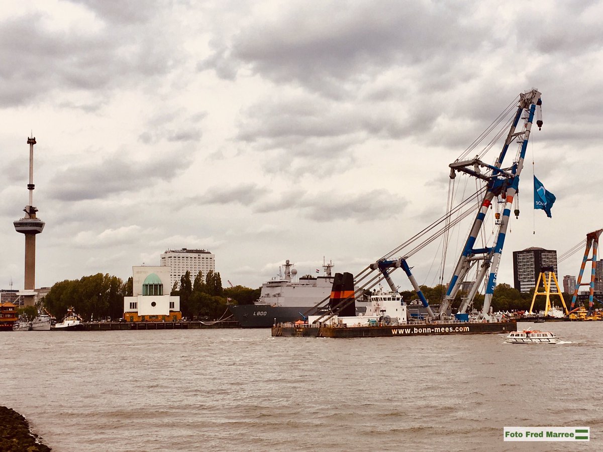 𝔽𝕣𝕖𝕕 𝕄𝕒𝕣𝕣𝕖𝕖 ☼ tweet media