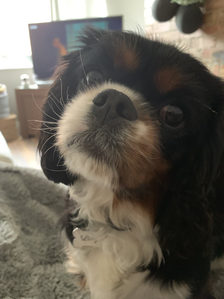 Livvyloosa's tweet image. Felt cute, might delete later. Idk.