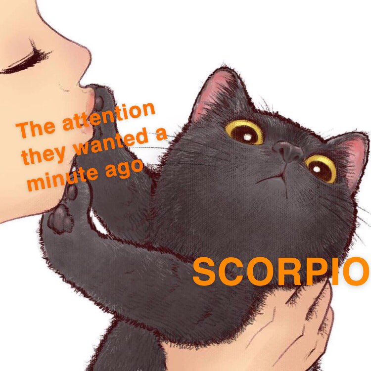 IrelandWhenever's tweet photo. I made a thing #Scorpio #attention #needy #zodiac #scorpioseason #cat #attitude #scorpios https://t.co/HQp8wdFmBK