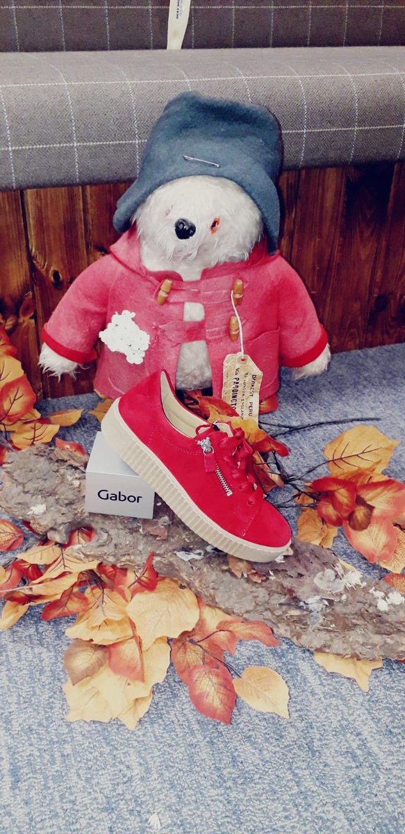 DicksShoe's tweet photo. Paddington is back from his hols and has his eye on a lady in red! Check out these fabulous Gabor red suede trainers with side zip! 😍 #PaddingtonsPick https://t.co/Aap0DLrpTb