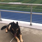 Photo by SNHU Field Ops (@SNHUFieldOps)
