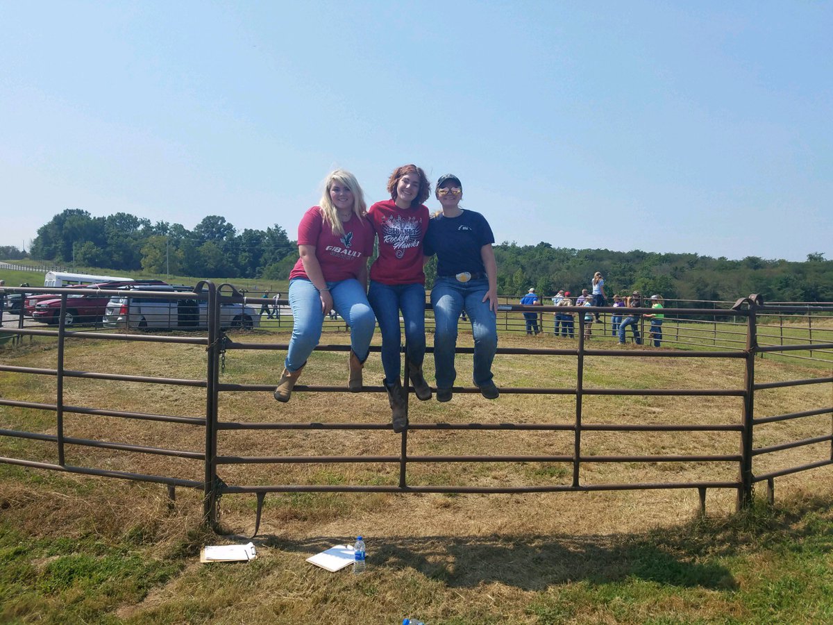 GibaultCatholic's tweet photo. 🐴 Gibault’s FFA horse judging team- Molly Bueltemann, Molly Penberthy, and Josie Hooten- placed 3rd in section 22 and 10th in district 5. Molly Penberthy was the 1st place individual overall. Great job ladies! https://t.co/NzDraCvMkb