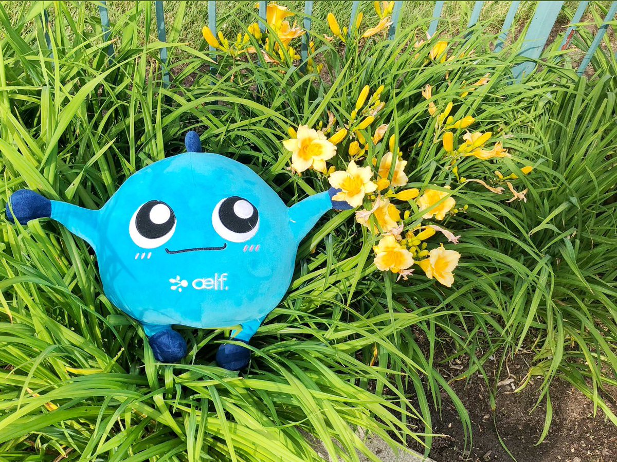 #aelfiego There are no words to explain the beautiful picture of my aelfie and the beautiful nature <a href="/aelfblockchain/">aelf</a> <a href="/AelfieGo/">AelfieGo</a>