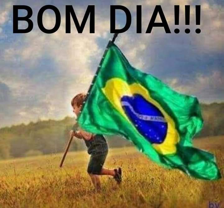 Camilla96799947's tweet photo. #TVBrasilno7
Que orgulho assistir ao desfile, com a família Bolsonaro. Parabéns pela transmissão, CIVISMO e patriotismo.
#lindodever 💚💙💛 https://t.co/kVXGJZAYNN