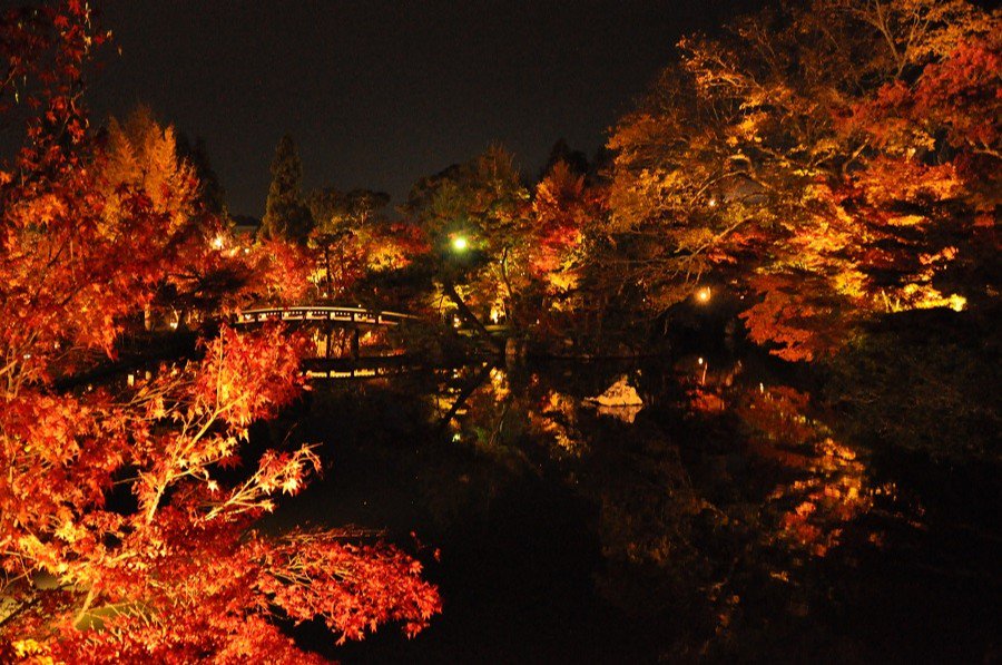 AllJapanTours's tweet photo. Can you feel that #autumn breeze yet? Don't forget to see #Kyoto's #fallfoliage when you #TravelJapan!

https://t.co/VdolW9diEK

Instagram: https://t.co/KUueCJgRpc
Facebook: https://t.co/IJ2NJCzzYK
Pinterest: https://t.co/VJ8a9ZKrXU

#autumnleaves #autumnplease #gottago #Japan https://t.co/3b6N3Qh8sC