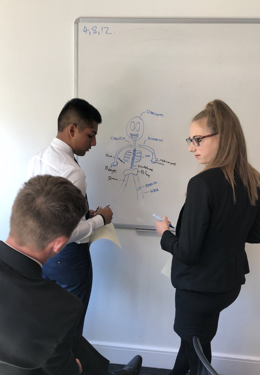 ReptonPE's tweet photo. L6 have made a strong start to their #ALevelPE course, recapping and building on their knowledge of the skeleton. Perhaps the drawing skills need a little bit of work though... #ReptonPE #ReptonLearning https://t.co/iUwfLhqRw7