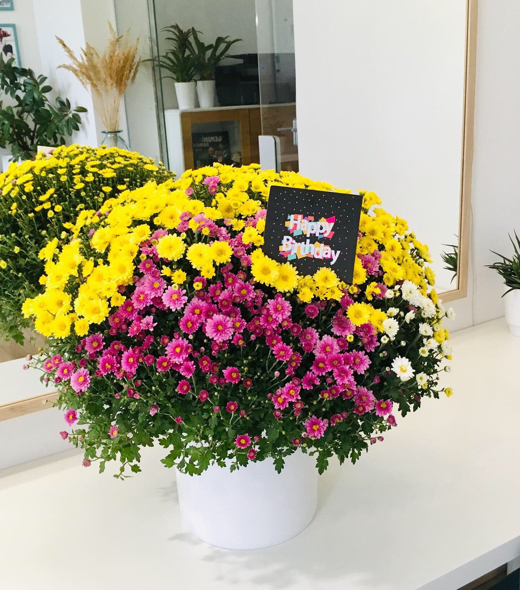 Vielen Dank an meine Büro Crew für die schönen Geburtstagsblumen 😊💐 •Werbung• #stilberater #stylist #dresden