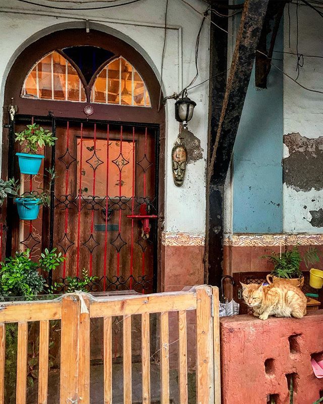 shrutis's tweet photo. The bylanes of #Bandra - such old world charm! #oldworldcharm .
.
.
#bandradiaries #bombaynotmumbai #streetphotography #streetsofbandra #instaphoto #photooftheday #travel https://t.co/64BL6rYbn4 https://t.co/tLb4L91Cwu