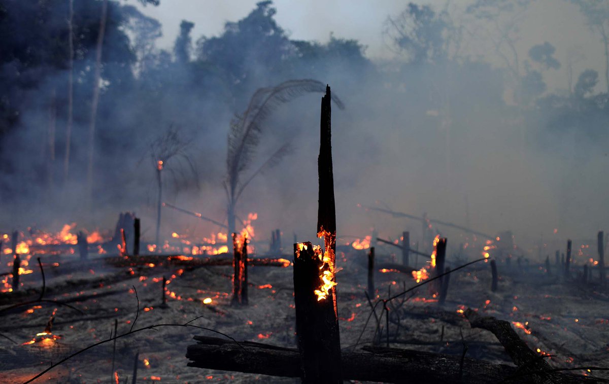 Red__Accion's tweet image. #IncendioForestal #AmazonasSOS Brasil vencerá al Brazil anred.org/2019/09/07/bra…