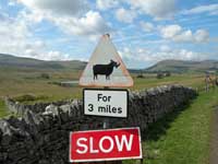 SedberghReds's tweet photo. #tourofbritain  you forgot #slowdown #redsquirrels 😲 &amp; the #rhinos 🤣
The A683 has wildlife in abundance!
https://t.co/vYUYgoSbsL https://t.co/HZwTvoeBzD