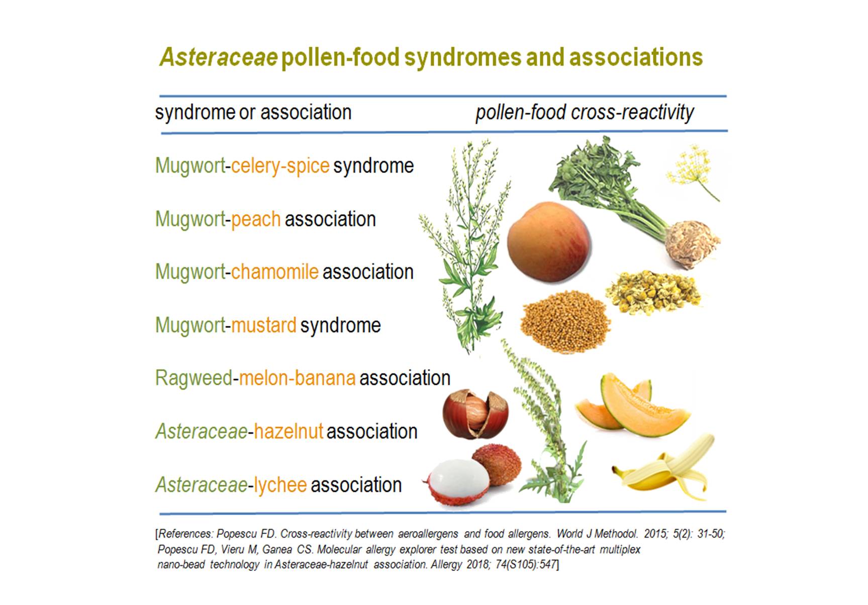 What is mugwort allergy