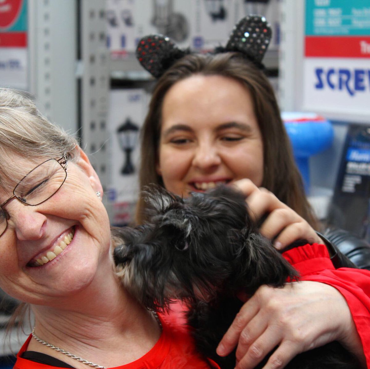 AdventuresofTi4's tweet photo. I am a #superpuppy raising money for @Screwfix #tavistock for the #Screwfixfoundation 

The Foundation raise funds to improve properties and community facilities for those in need throughout the UK, visit https://t.co/LSCOwsaZTR 🐾🐾🐾

#woofwoof #adventures #charity #devon https://t.co/D8GqBhDgvA