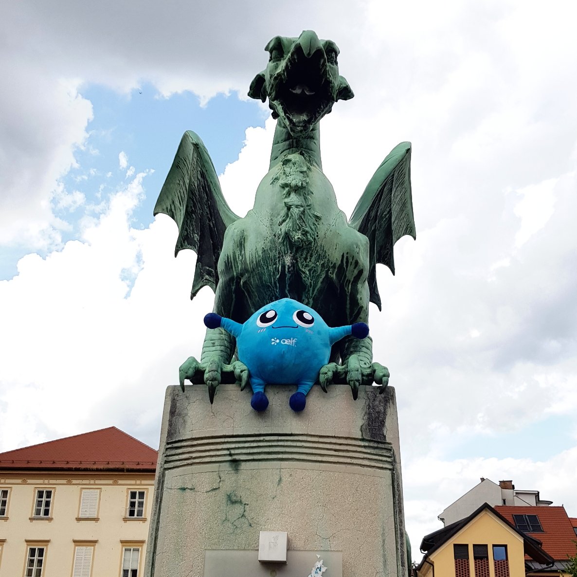 mraelfie's tweet photo. Two dragons united 🐲🐉
#Dragon  #aelfiego @aelfblockchain @AelfieGo #cryptocurrency #blockchain https://t.co/flI7msnabJ