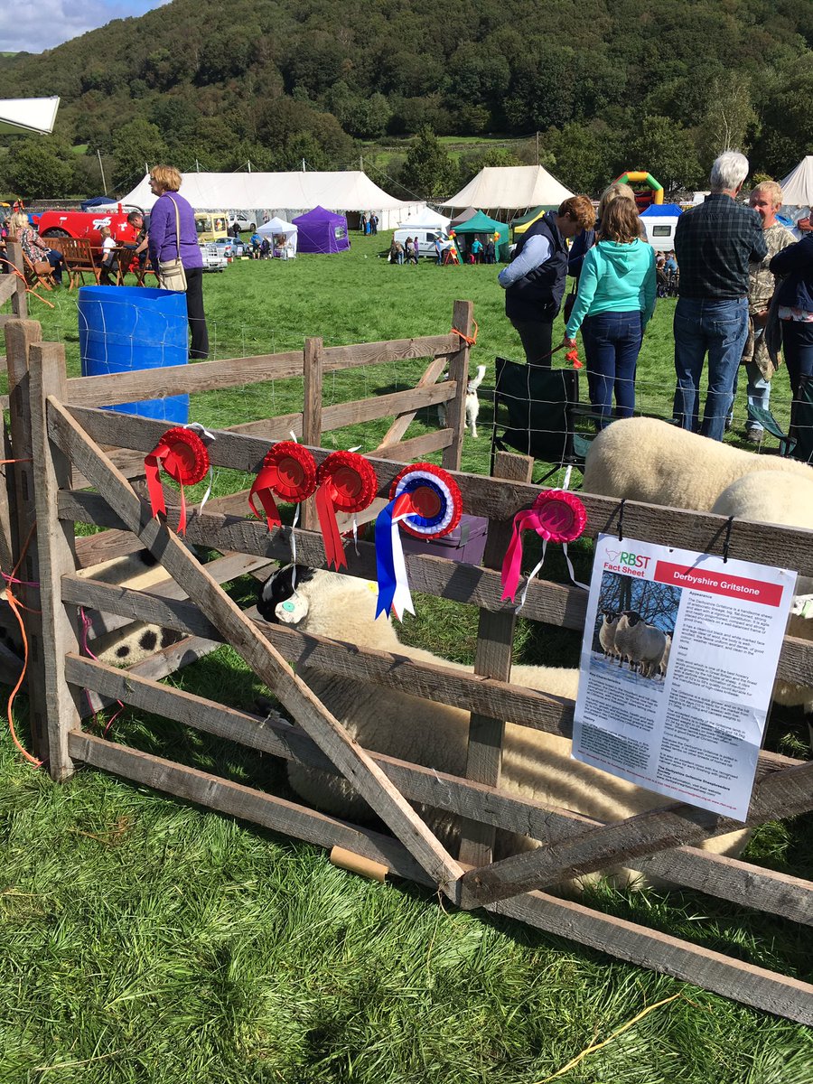 haytonalice1's tweet photo. Great day at Lowick Show ๐๐ป
1st aged tup, 1st ewe, 1st shearling ewe, 1st tup lamb. Champion rare and native with the tup ๐ #DerbyshireGritstones #sheepshow #lowickshow #gritstonesheep #nativesheep #hillbreeds https://t.co/NguuzAQPUl