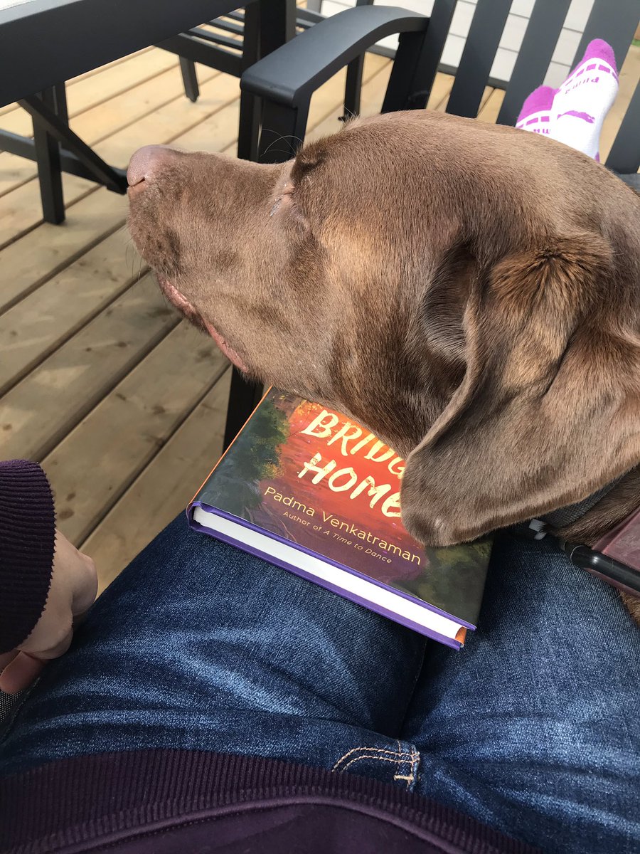 Spending a beautiful Saturday on the deck diving into #thebridgehome with Oakley by my side. Interested to see what #GRA19 looks like with <a href="/AKnflk/">Ashley Knoflook</a> &amp; <a href="/dhollander_t/">Tamara D’Hollander</a>