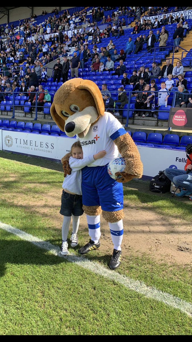 TROSC_TRFC's tweet photo. The new @timelessknb pitch side advertising board looking great behind Rover and Jessica 

#SWA2 https://t.co/0WC6f73n98