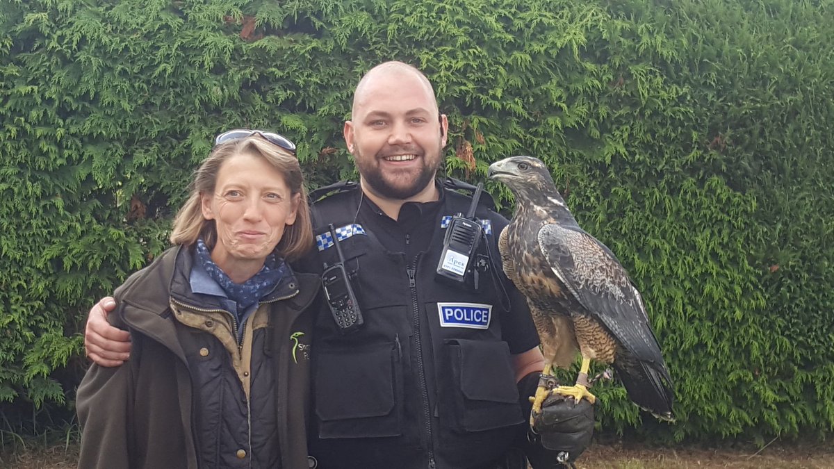 Shropshire Youth Engagement Team tweet media