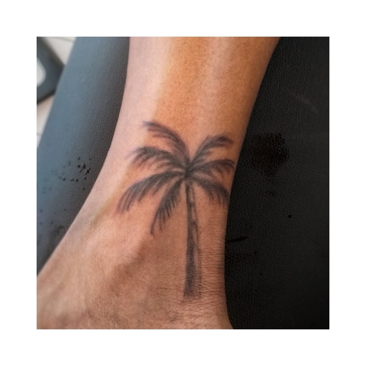 ntattoo972's tweet photo. #martinique #palmier https://t.co/ql8BEdnBbZ