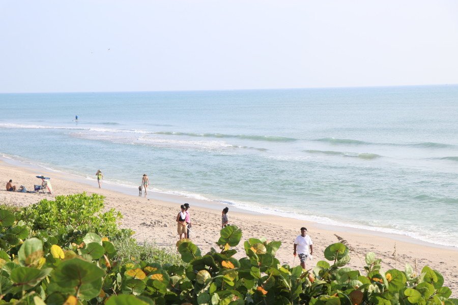 JupiterSurf's tweet image. Juno Pier Surf Report 9-7-19 8:30am ift.tt/314ZEML