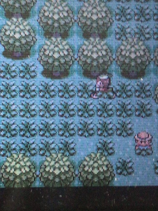 ケーシィのtwitterイラスト検索結果 古い順