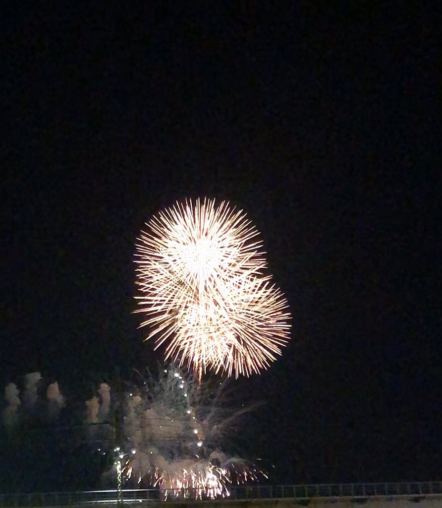 KumaQiii's tweet photo. 今日東京で花火を見てた！いいねー明日帰国する！またね！ https://t.co/2u2zt3JluI