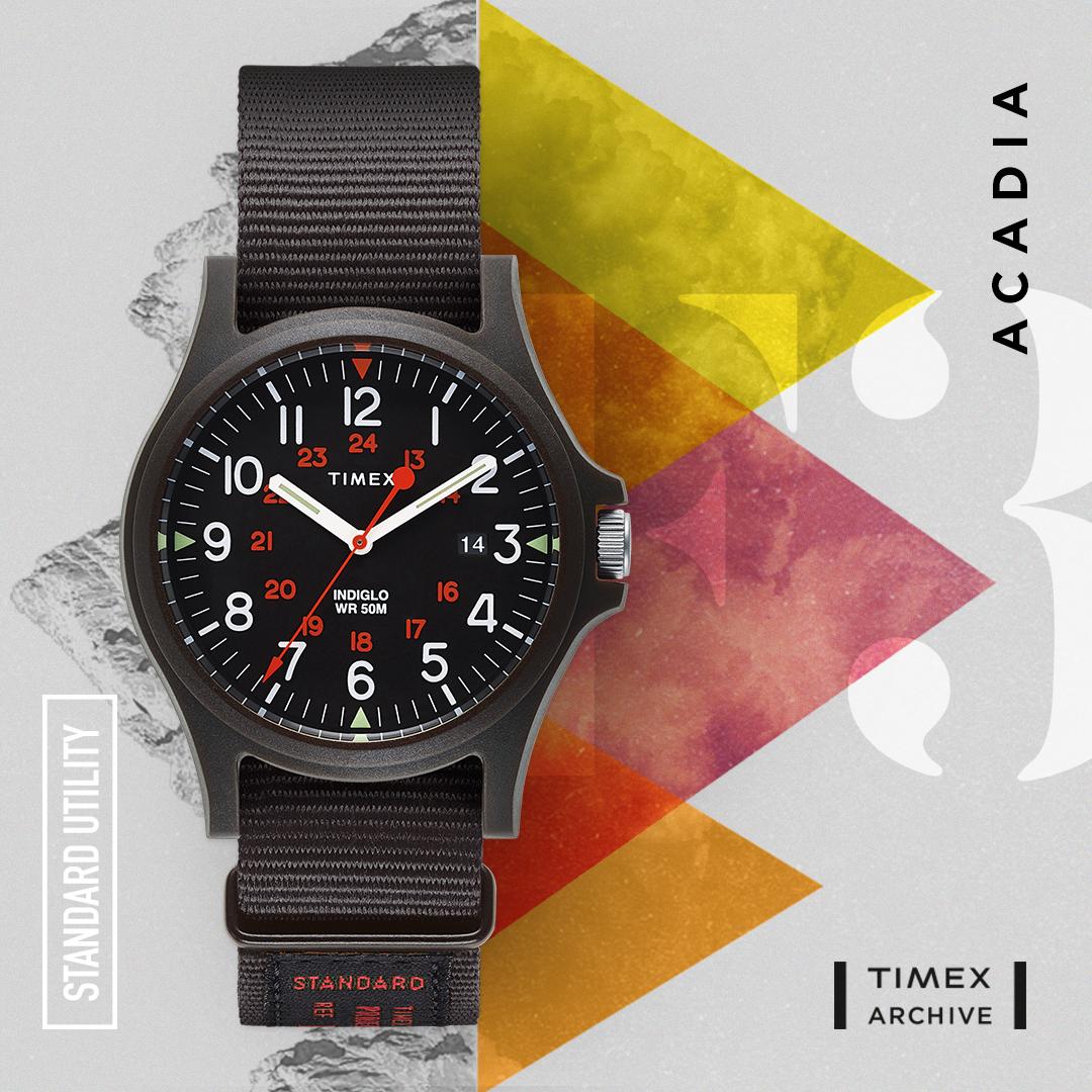 timex archive acadia