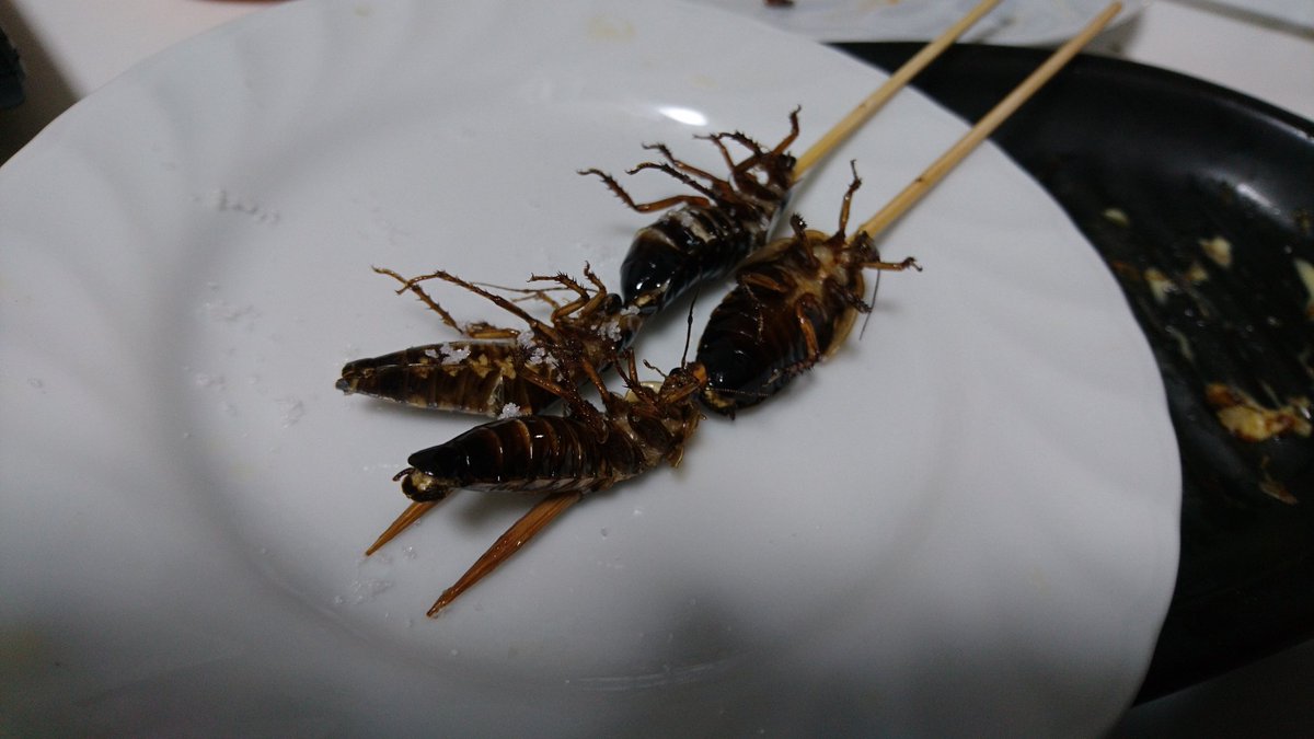 S N 13 ミシシッピアカミミガメ 生体の写真が 美味しい 筋肉質で脂身はほとんど無く 赤みの濃い旨味と歯応えが特徴 焼くと固く締まりすぎるので 揚げるか煮込んでスープにすると美味い 多少水質の悪いところの個体でも 案外臭みがなくて美味しい