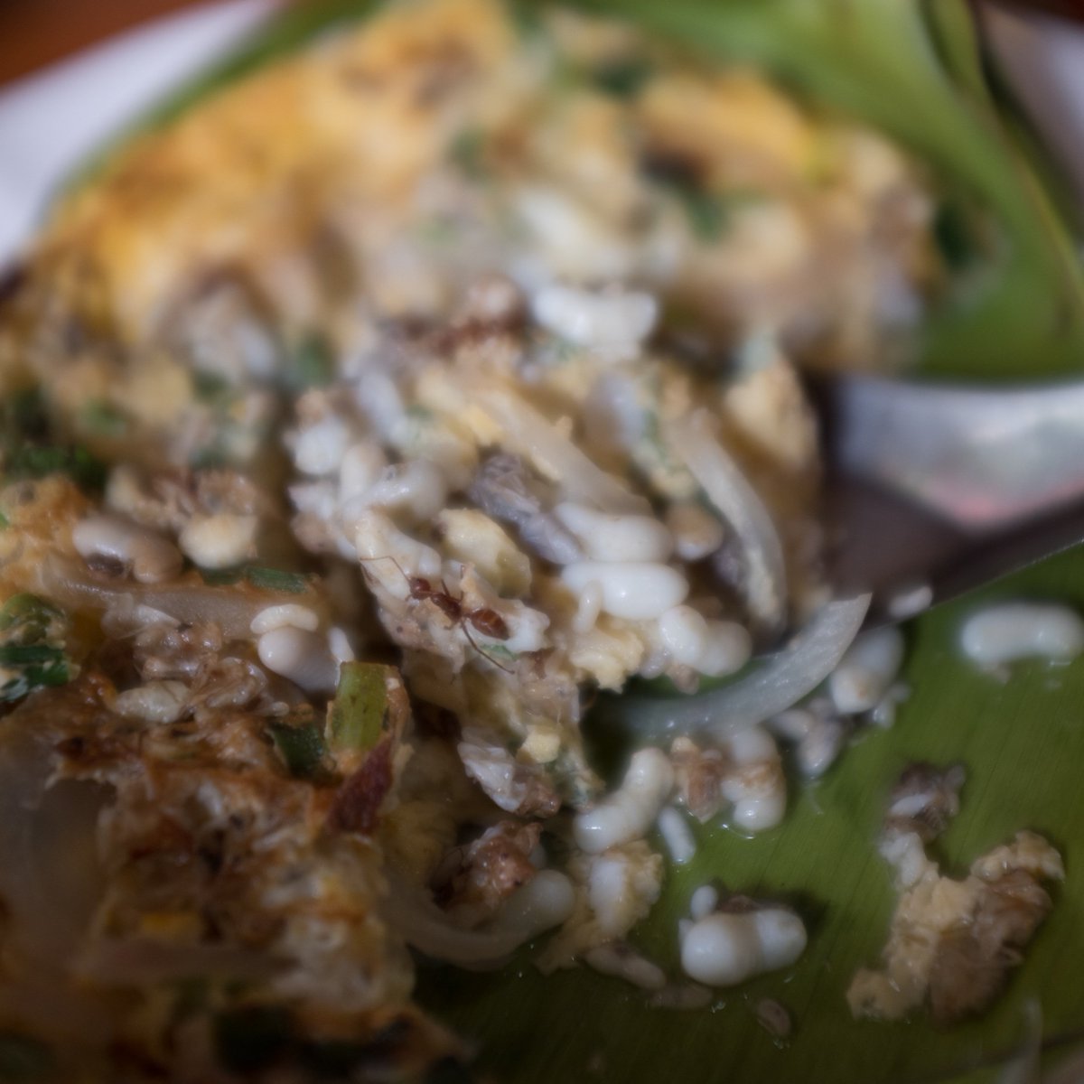 Here in Thailand, when you order ant eggs, you also get some whole ants and what Julia likes to call "zombie ants".   To be honest, the zombie hand discovery even had me a little squeamish.  #edibleinsects #anteggs #eatbugs