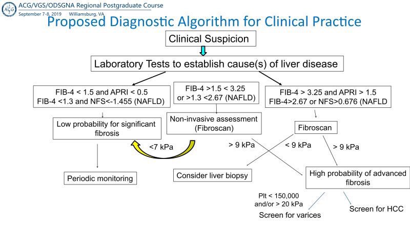 HamzeSaraireh's tweet photo. Non-invasive testing for liver fibrosis by @Richard62094803 of @VCUInternalMed with a proposed algorithm for clinical practice @AmCollegeGastro @AASLDtweets #fibroscan #FIB4 #APRI https://t.co/Vd6G3dfCDE