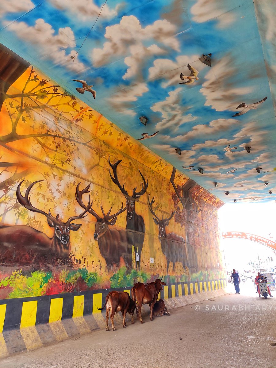 yayavaree's tweet image. I have seen lot of street art, but not a colourful underpass like this. This two way underpass on #raipur - #bhilai highway truly impressed me.