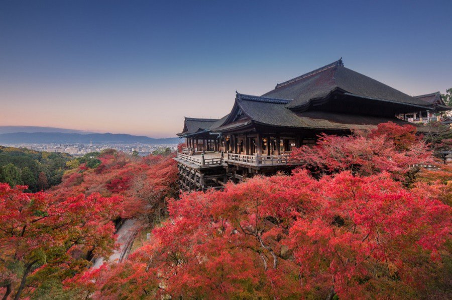 AllJapanTours's tweet photo. Can you feel that #autumn breeze yet? Don't forget to see #Kyoto's #fallfoliage when you #TravelJapan!

https://t.co/VdolW9diEK

Instagram: https://t.co/KUueCJgRpc
Facebook: https://t.co/IJ2NJCzzYK
Pinterest: https://t.co/VJ8a9ZKrXU

#autumnleaves #autumnplease #gottago #Japan https://t.co/AzMq1Bp6xm