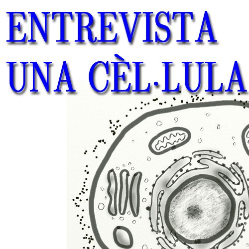 AtomCiencia's tweet photo. 👉Creus que saps qu�� és la membrana cel·lular?🧐
És clar que sí, però... l'has entrevistada mai?🤔
A Àtom Ciència sí. I et portem l'exclusiva fresca, fresca!!
@CCiutadana @Ciencia_cat @SCBcat @xtec 

https://t.co/yCflauSMT7 https://t.co/MFbk8qAbiM